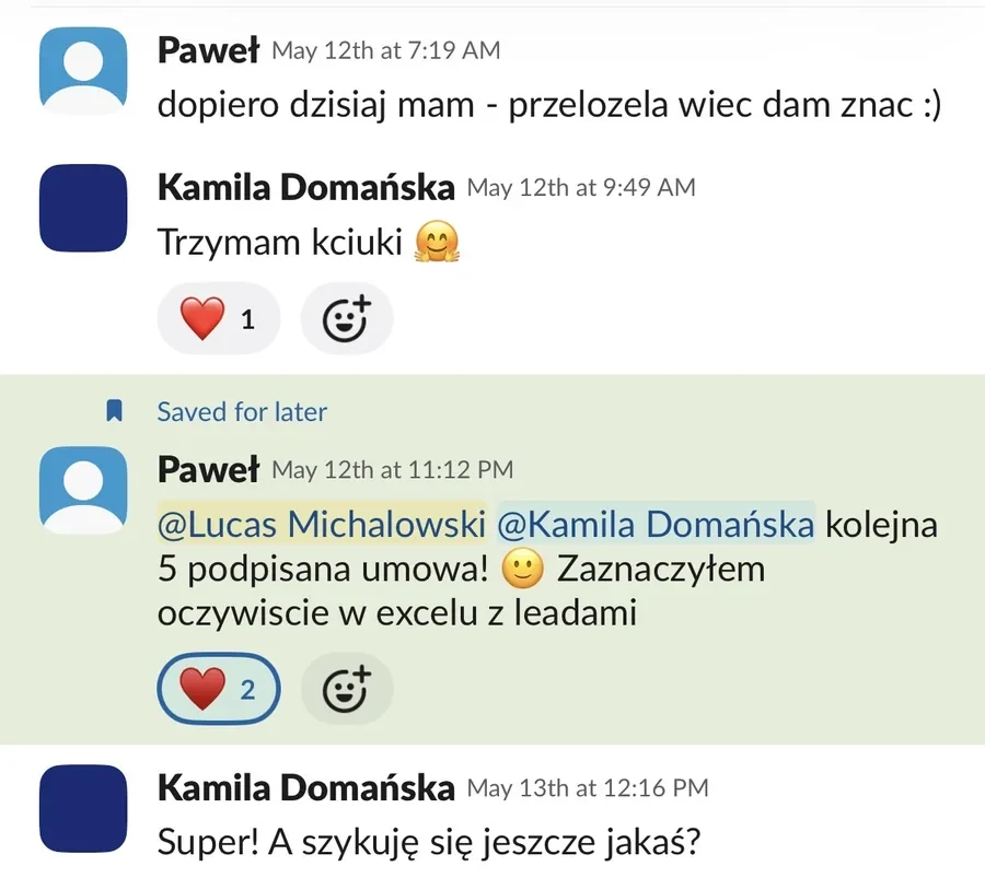 Zrzut rozmowy z zespołem, Paweł Dąbrowa
